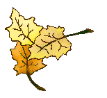 leaf22.gif - 5.1 K