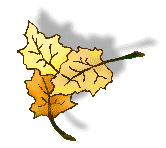 leaf24.gif - 6.4 K