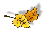 leaf28.gif - 4.6 K