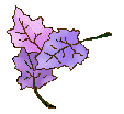 leaf68.gif - 3.0 K