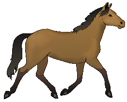 trotting brown horse